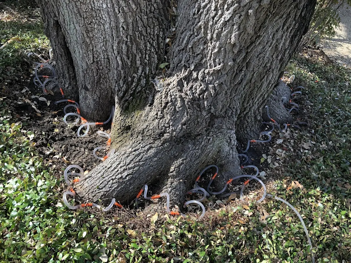 Detailed Shrub and Hedge Trimming job site in Amo